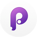 principle icon